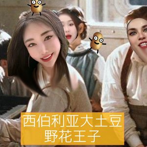 野花起舞jiafei尖叫