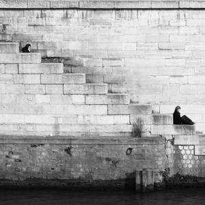 孤冕无后（Crown Without a Queen）