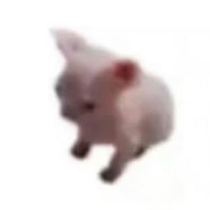 这袋纸里有只鸽子.wav