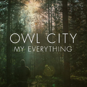 Owl City-My Everything（8Bite remix）