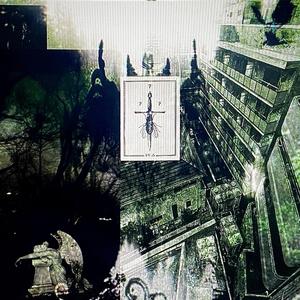 LYFE TRACK (feat. Acidica)