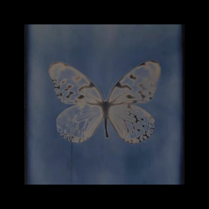 指顾从容（prod. MILLER）