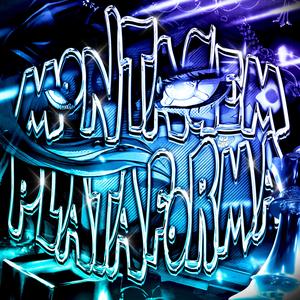 MONTAGEM PLATAFORMA