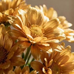 回不去的何止时间 (Remix)