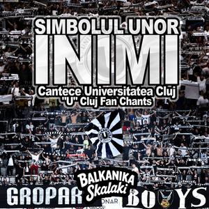 U Cluj Official Anthem _ SIMBOLUL UNOR INIMI (Cantece Universitatea Cluj _ "U" Cluj Fan Chants)