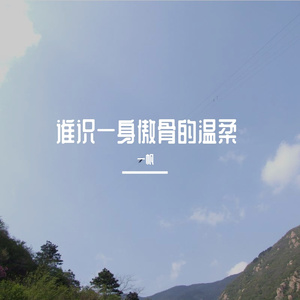 谁识一身傲骨的温柔 伴奏