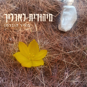 מיהודית לארליך