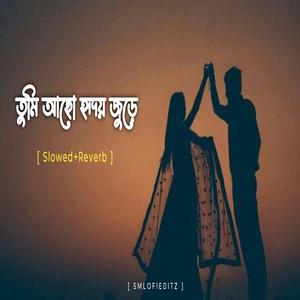 তুমি আছো হৃদয় জুড়ে