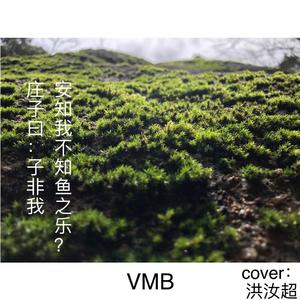 BLACKFAT洪汝超-庄子曰：“子非我，安知我不知鱼之乐？”（翻自 洪汝超）（VMB（violin maker Barry） remix）