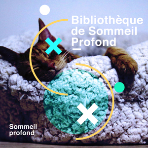 Birds in the Background