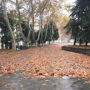 这一生关于你的风景