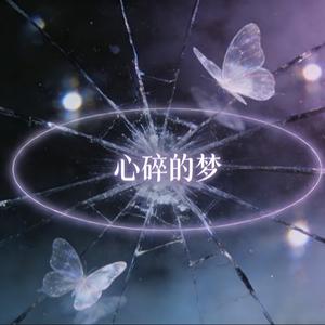 心碎的梦
