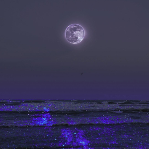 月亮也听见了（Just Talk To Me）