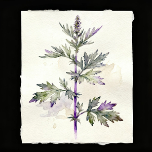 随心一听（Prod by w.w.）