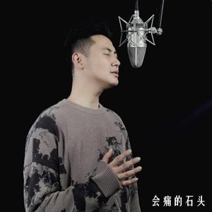 会痛的石头