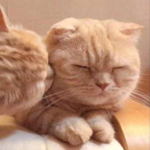 她
