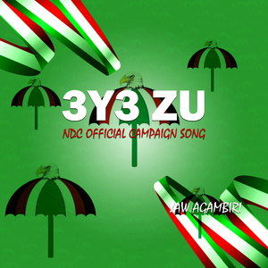 3y3 Zu (Ndc official campaign song)
