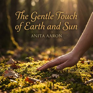 The Slow Drift of a Water Lily