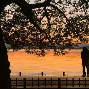 卧底的第十一年