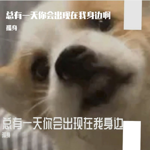 总有一天你会出现在我身边_薛之谦☂