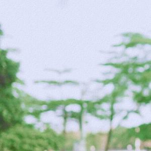 剪影（翻自 陈晓琪）