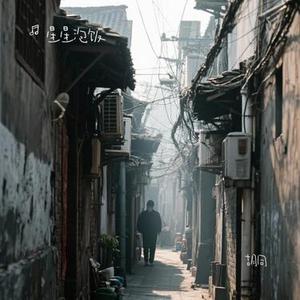 胡同 (Cover 毛不易)