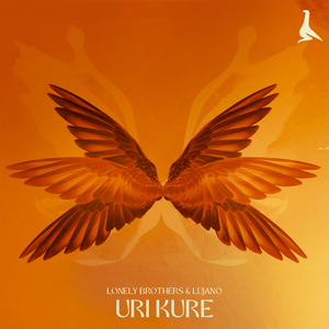 Uri Kure