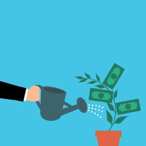 Сохраните денежное дерево