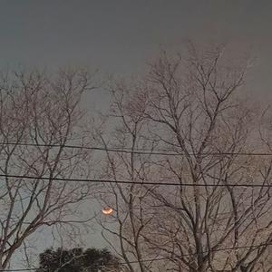 街坊之子freestyle