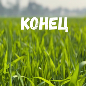 Конец