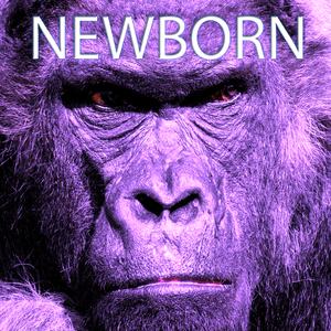 Newborn