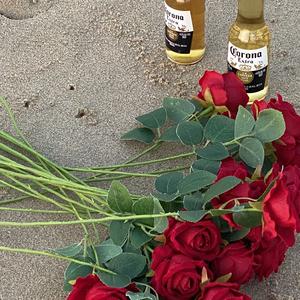 危险猎物（prod by keerad）