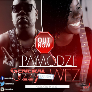 Pamodzi (feat. Wezi)