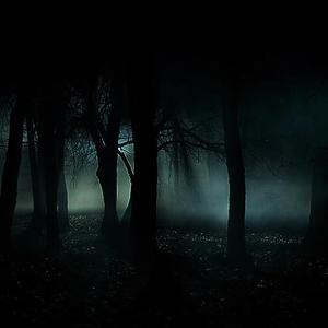 黑夜的女儿 (混缩)