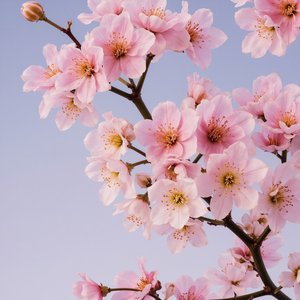 봄날 너와