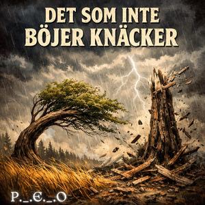 Det som inte böjer knäcker