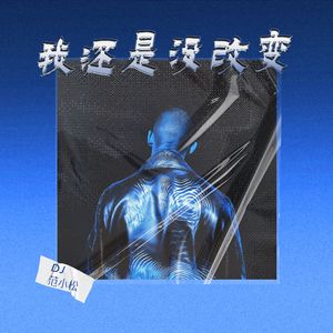 我还是没改变 (DJ版伴奏)