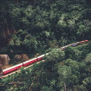 春日列车（Prod.EVOMUSIC&Siren)