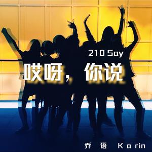 哎呀，你说 (210 say) - 2019弹唱版