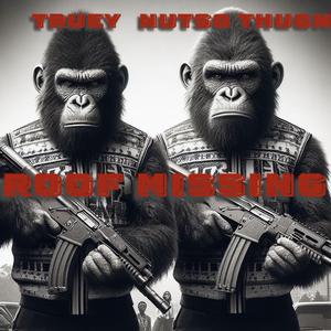 ROOF MISSING (feat. Nutso Thugn)