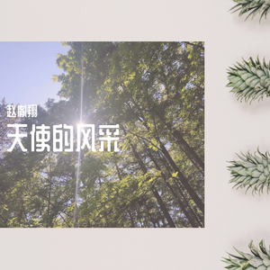 天使的风采