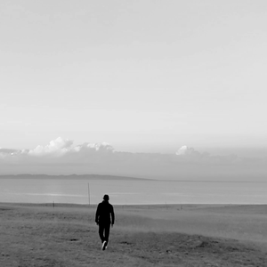 素履之往（demo）