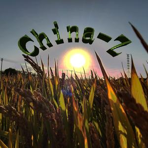 China－Z