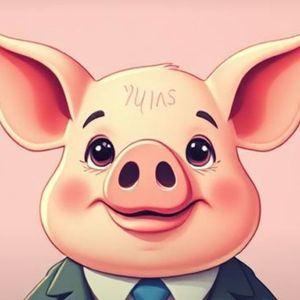 boss金飞涨