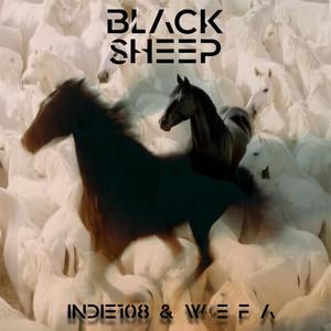 BLACK SHEEP