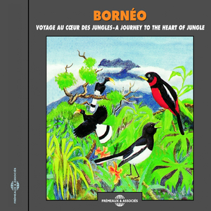 Concert de batraciens (Frog concert)