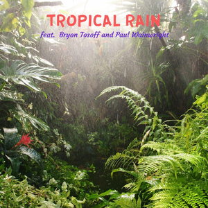 Tropical Rain (feat. Bryon Tosoff & Paul Wainwright)