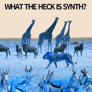 How to Master Synth in 6 Simple Steps (Extended version)