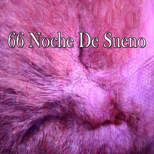 屈服於你的疲倦