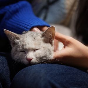 夜空中最亮的星